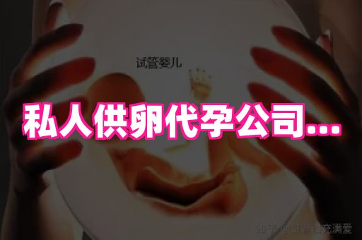 821孕网 2
